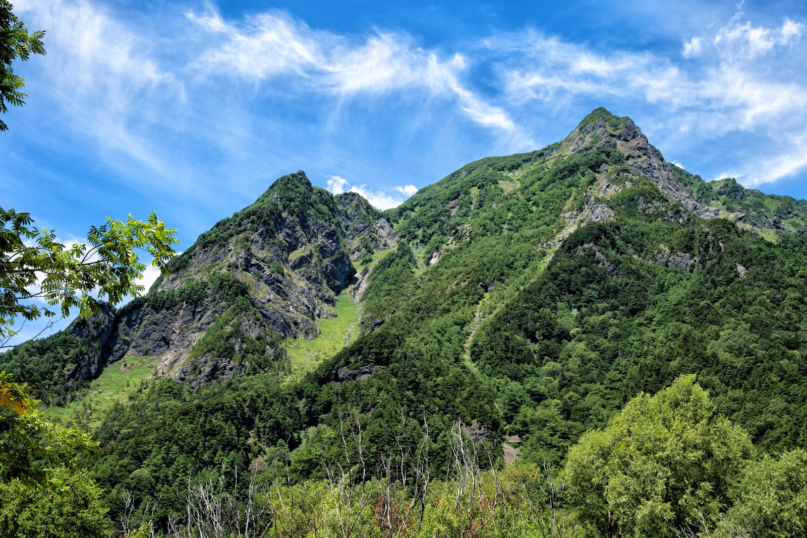 上高地から見上げる明神岳の新緑、青空の下に森林に覆われた山岳風景