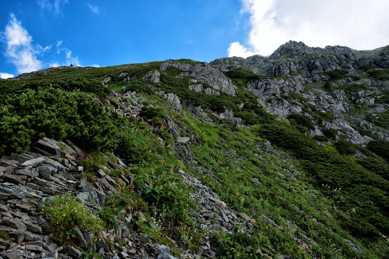 青空の下、緑の植生に覆われた急峻な岩肌が立ちはだかる前穂高岳の登山道
