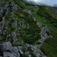 夏の前穂高岳へ続く霧の登山道の写真