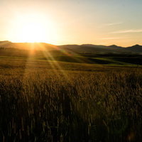北海道の田園で夕日に染まるススキの秋風景の写真
