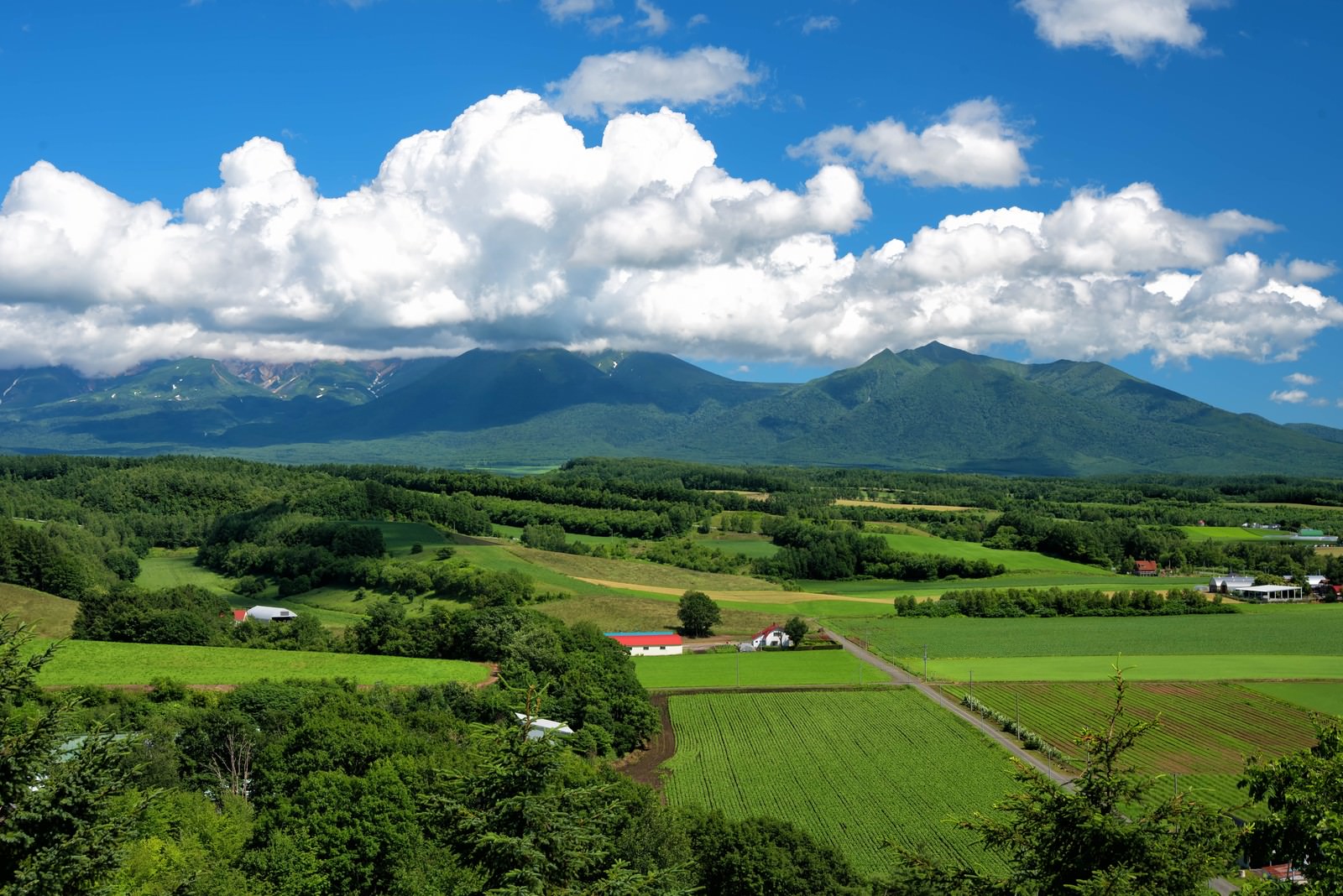 青空に白い積雲が浮かぶ十勝岳と緑の畑が広がる田舎風景