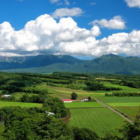 十勝岳の青空に広がる積雲と田舎町の風景、晴天の田園地帯の写真