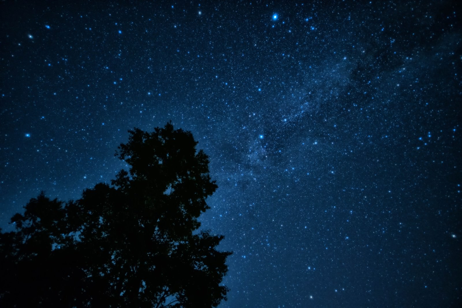 山頂から見上げる天の川と星空