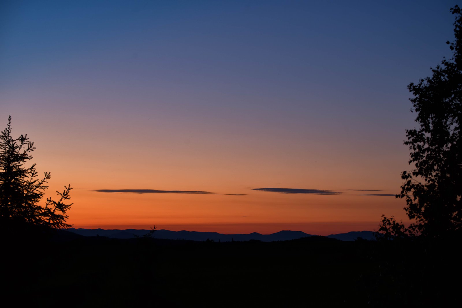 夕焼け空に浮かぶ雲と樹木のシルエットが美しい風景