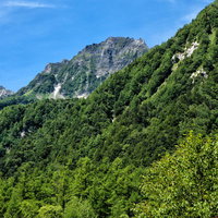 登山道から見える明神岳の岩壁と新緑の森林風景の写真