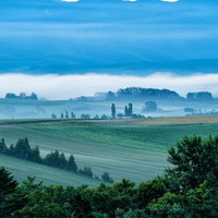朝霧に包まれる美瑛町の丘と点在する木々の風景の写真