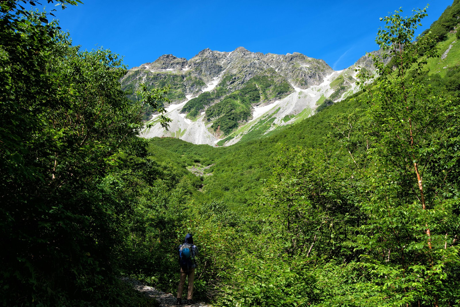 青空の下、新緑に囲まれた登山道で涸沢カールを見上げる登山者
