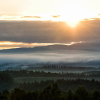 朝霧立ちこむ美瑛町の丘陵地帯に差し込む朝日の写真