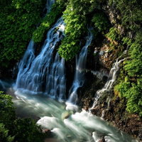 北海道美瑛町の白髭の滝、緑の岩壁から流れ落ちる清らかな水の写真