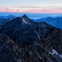 木のシルエットと天の川が広がる夜空の写真