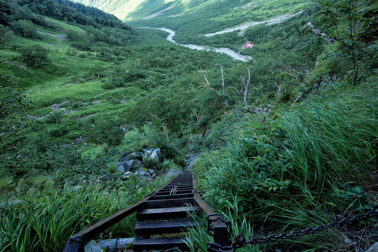 重太郎新道の梯子場から続く木製の階段と緑豊かな山の風景