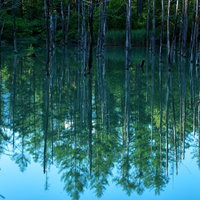 建設中のダムとタワークレーンの写真