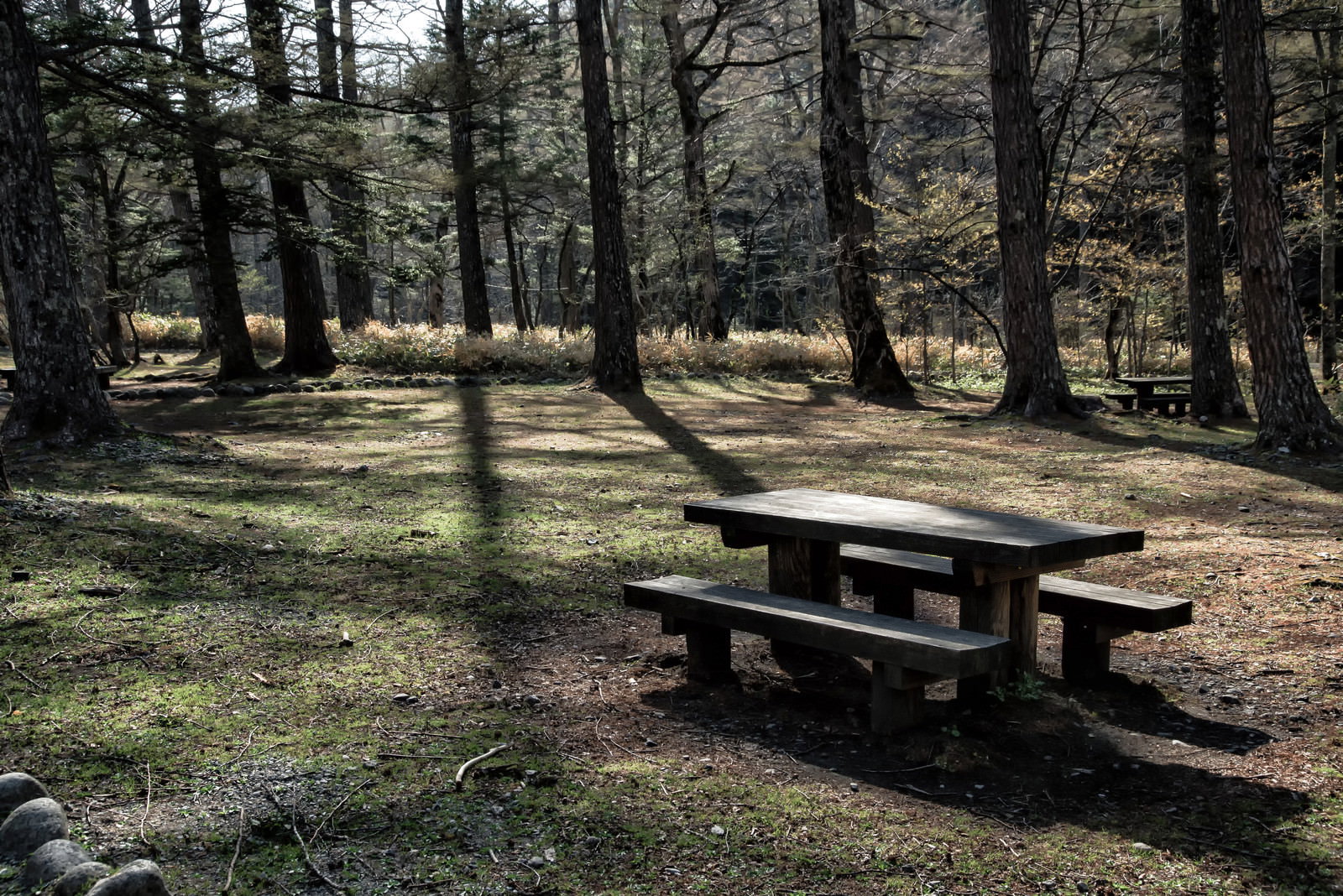 木々に囲まれた小梨平キャンプ場の広場に設置された木製ベンチ
