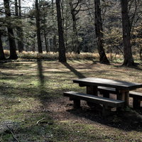 小梨平キャンプ場の広場に設置された木製ベンチの写真