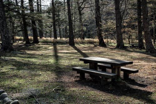 小梨平キャンプ場の広場に設置された木製ベンチ