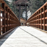 横尾大橋を渡る猿の写真