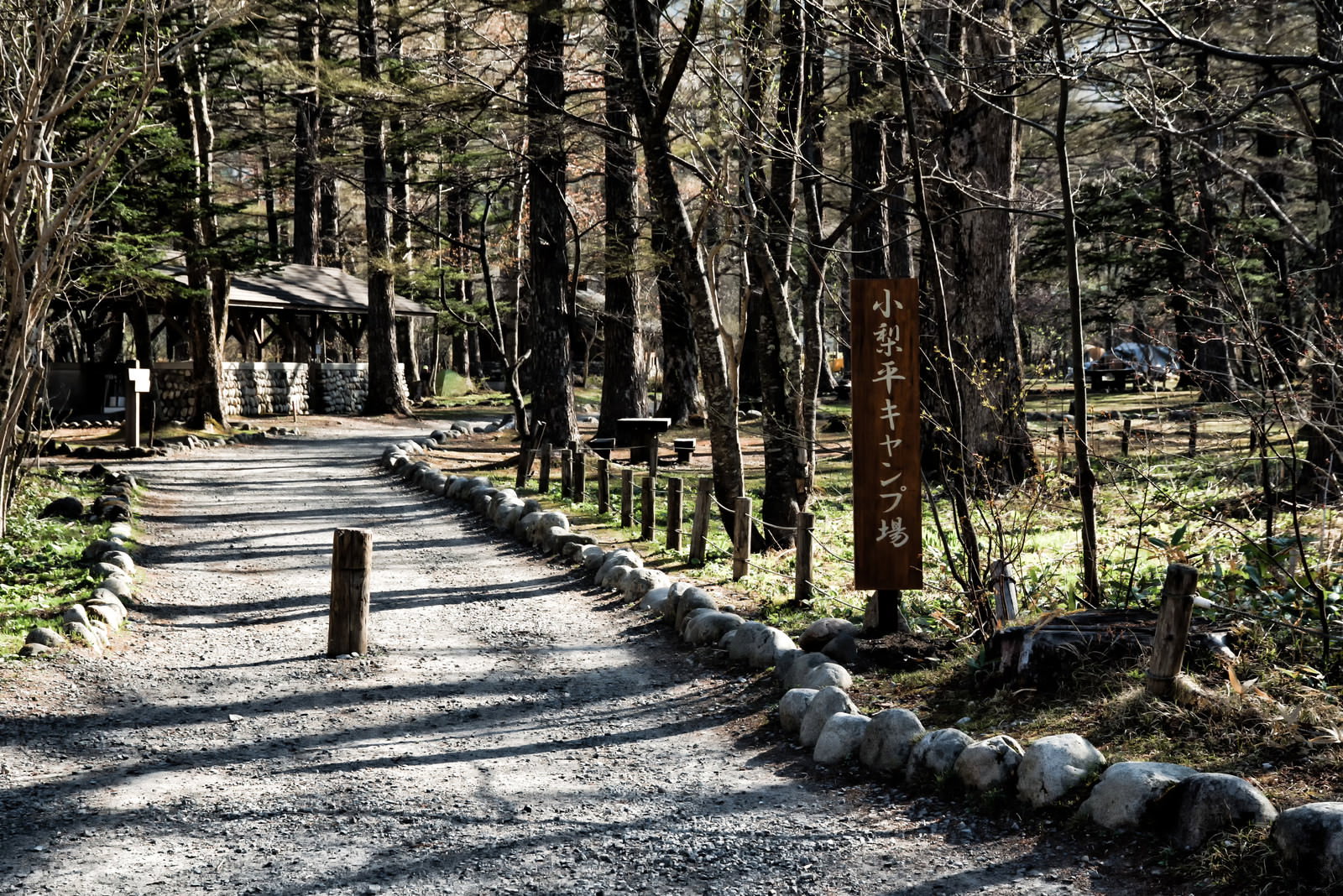 春の上高地、小梨平キャンプ場へ続く木々に囲まれた林道