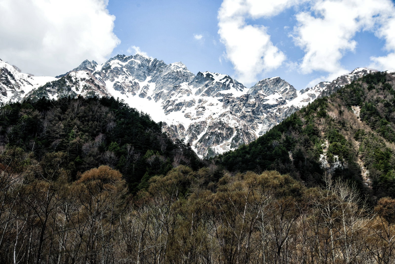 森の向こうに見える残雪をかぶった明神岳の山々と青空