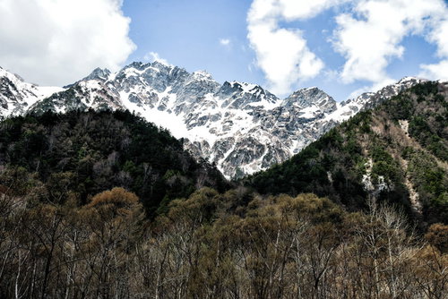 森の向こうに見える残雪の明神岳