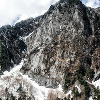 雪残る屏風岩の断崖絶壁と針葉樹林の冬山登山風景の写真
