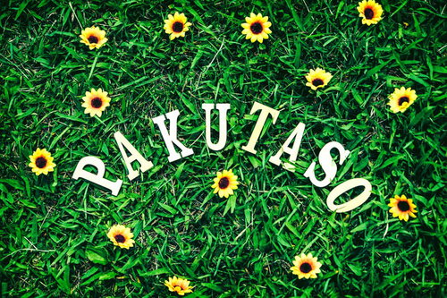 祝1万8000枚達成！PAKUTASO