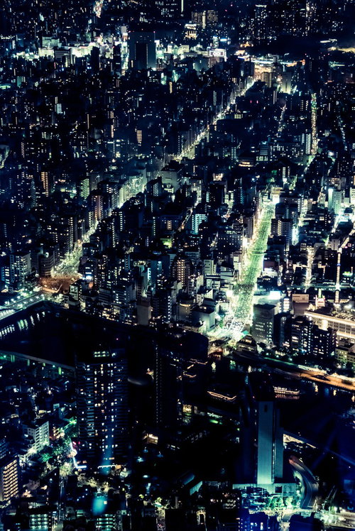 ビル群の夜景と川を行き交う屋形船