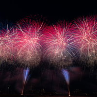 夜空に大きく広がるピンク色の打上花火が光の軌跡を描く夏の夜景の写真