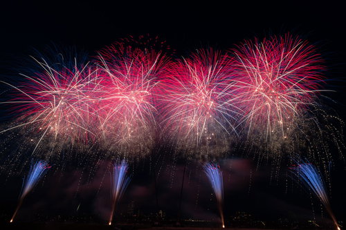 夜空に大きく広がるピンク色の打上花火が光の軌跡を描く夏の夜景
