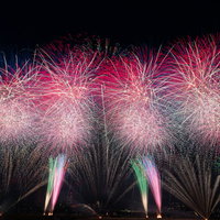 江戸川区花火大会で夜空に咲くスターマインの写真