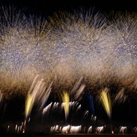 江戸川区花火大会で炸裂する打上花火、夜空に広がる黄金色の光跡の写真