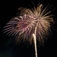 夜空に咲く金色と赤色の打上げ花火。夏祭りのクライマックスの写真