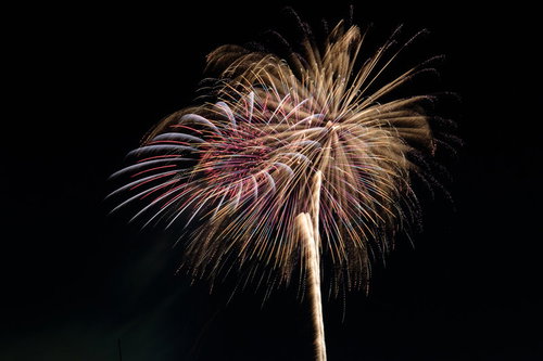 夜空に咲く金色と赤色の打上げ花火。夏祭りのクライマックス