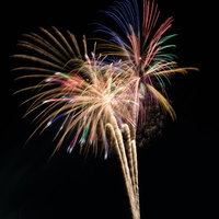 夜空に放射状に広がるスパークする打上花火の写真