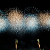 夏の風物詩、夏祭りの打上げ花火。夜空を彩るカラフルな光の競演の写真