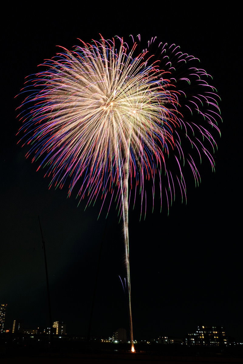 夜空に色とりどりの光を放つ大輪の打上花火