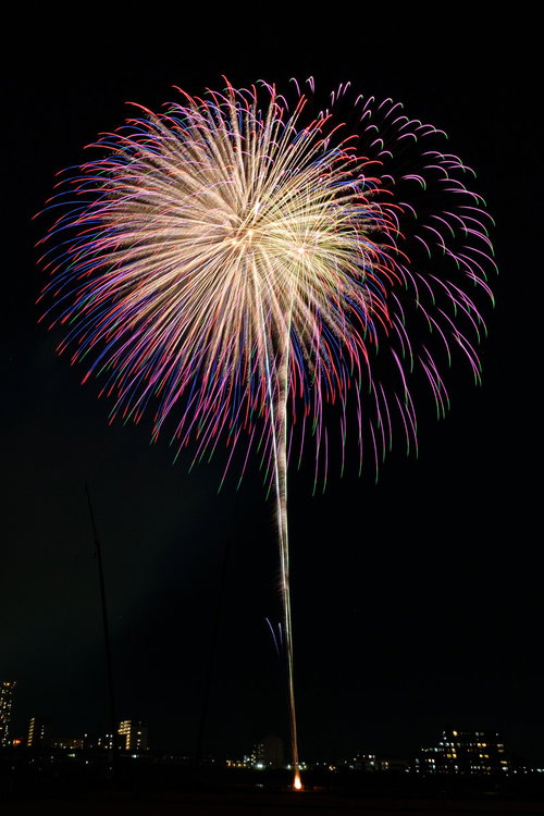 夏の夜空に咲く打上花火 紫とピンク色の光が放射状に広がる夜景