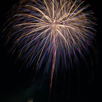 夜空に炸裂する打上げ花火の光跡が放射状に広がる夏の風物詩の写真