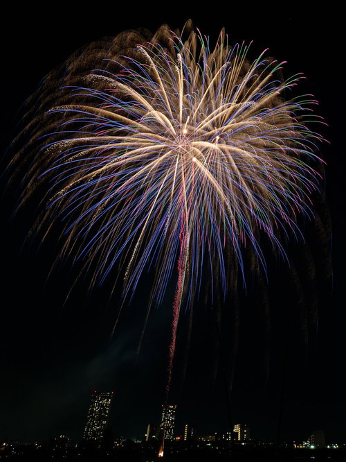 夜空に炸裂する打上げ花火の光跡が放射状に広がる夏の風物詩
