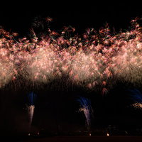パチパチ弾ける打上花火が夜空に開く夏の夜景の写真