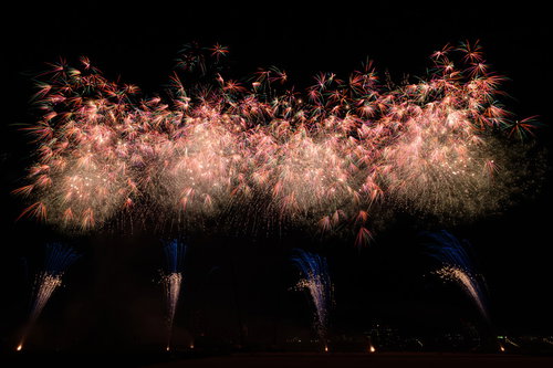 パチパチ弾ける打上花火が夜空に開く夏の夜景