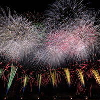 江戸川区花火大会で一斉に打ち上がる色とりどりの花火の写真