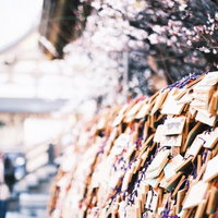 合格を願う湯島天神の境内に奉納されたたくさんの絵馬の写真