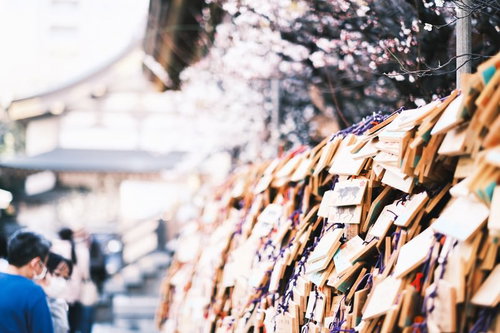 合格を願う湯島天神の境内に奉納されたたくさんの絵馬