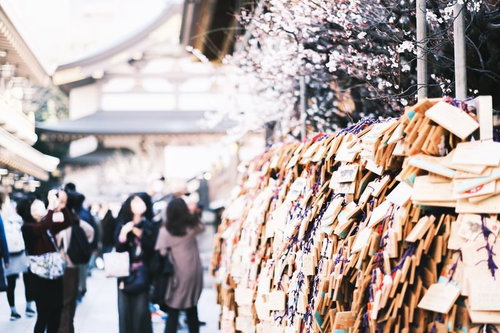 湯島天神の境内に咲く白い梅の花と大量の絵馬