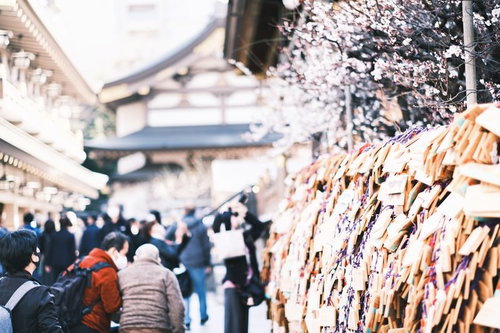 湯島天神の境内に掛けられた絵馬と薄桃色の梅の花