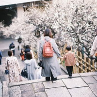 湯島天神の境内で梅を愛でる親子の後姿を撮影した春の風景の写真
