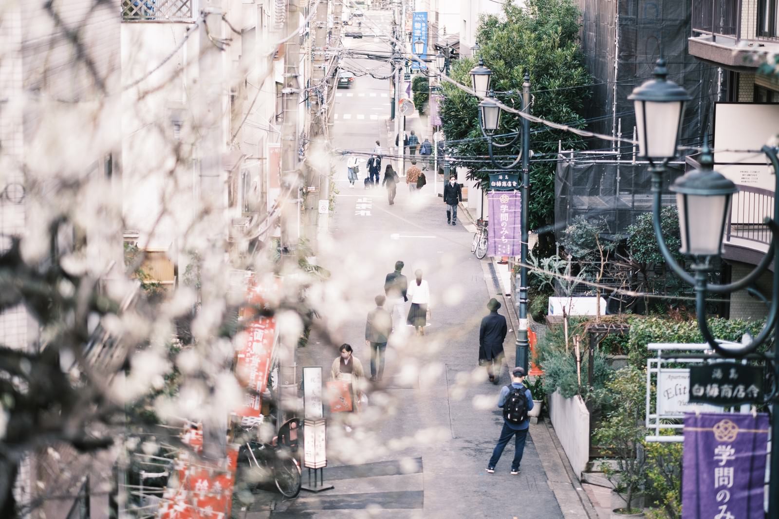 手前にぼかした梅の花、奥に石段の路地を歩く通行人を撮影した春の風景