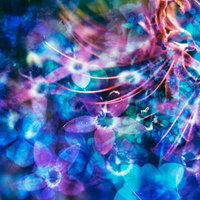 孔雀華を思わせるフォトモンタージュの光の渦の写真