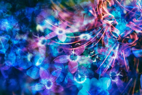 孔雀華を思わせるフォトモンタージュの光の渦