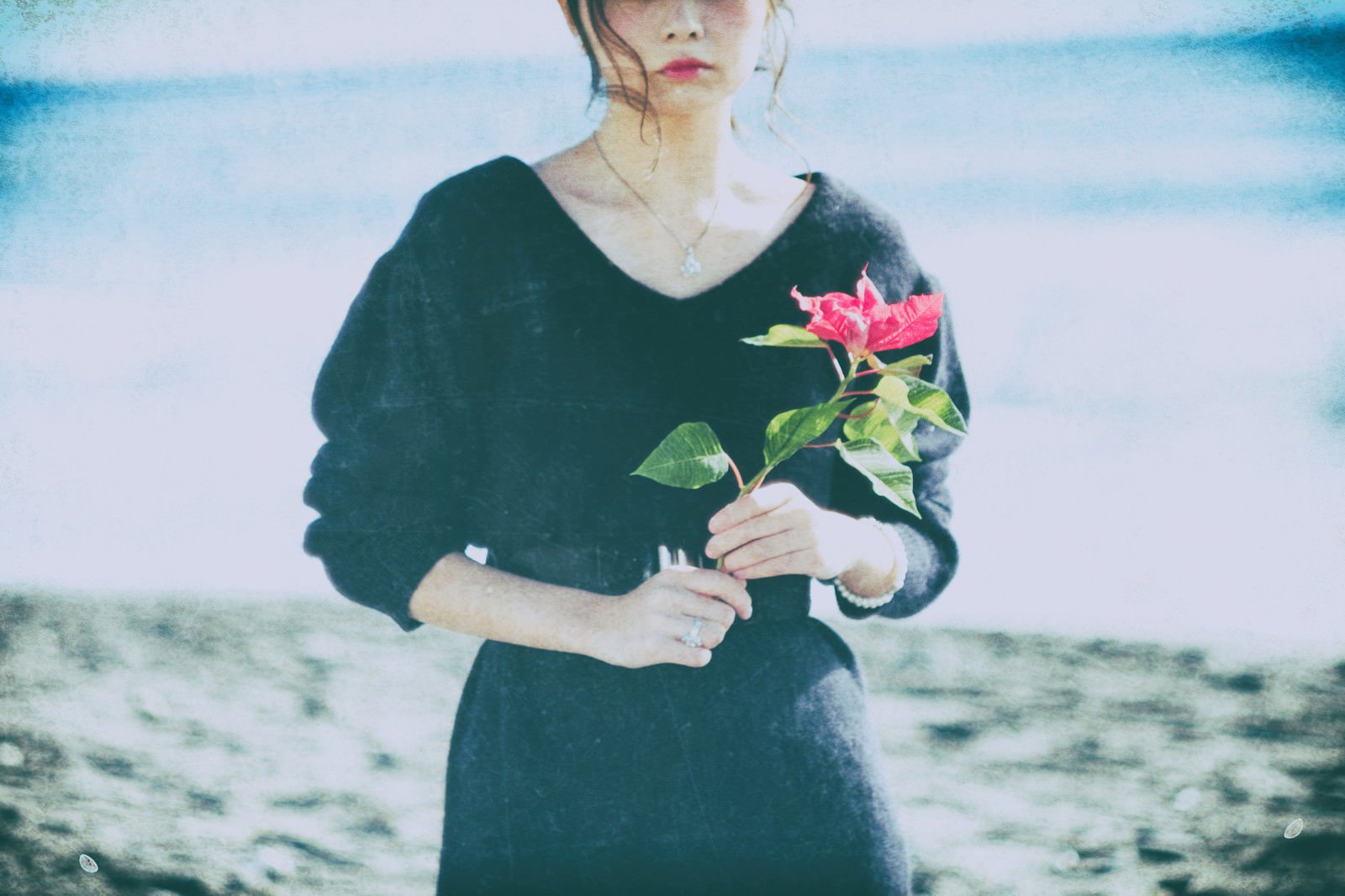 海辺で薔薇を手に持つ緑色の衣服を着た女性